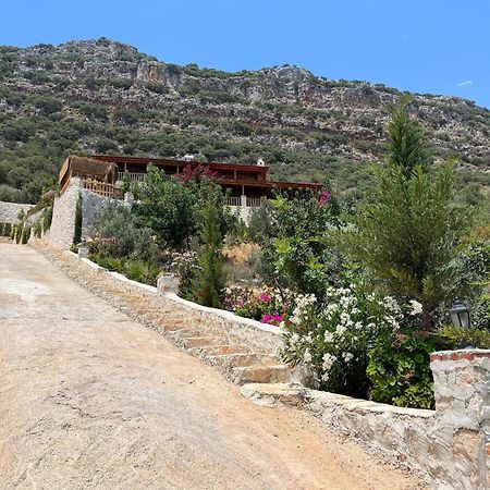 Istlada Tas Ev Apart - Kekova View Kapaklı Eksteriør billede
