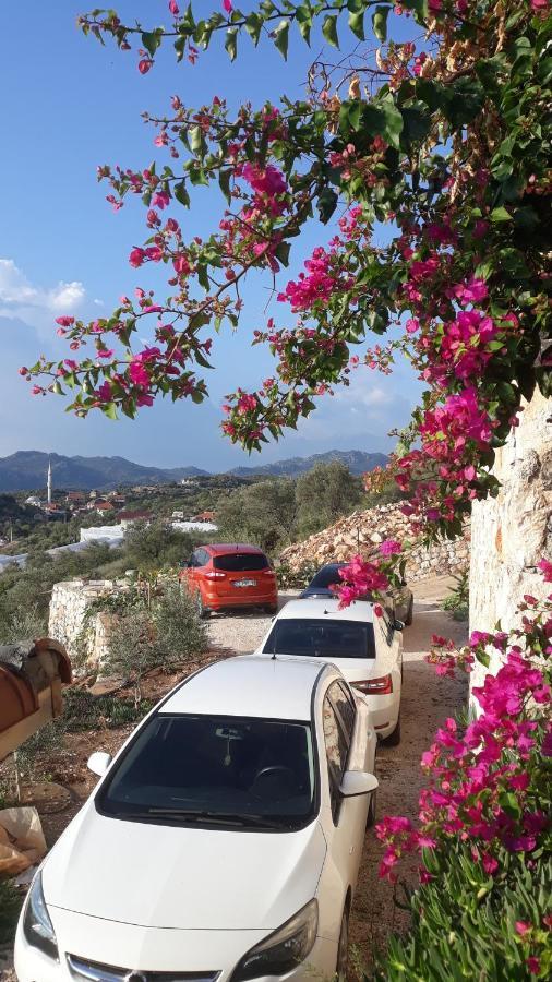 Istlada Tas Ev Apart - Kekova View Kapaklı Eksteriør billede